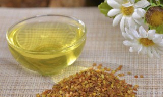 薏荷茶的功效与作用 薏荷茶的功效与作用是什么