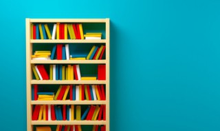 扒手是什么意思(订正是什么意思)