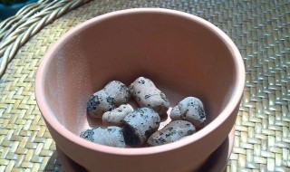 养花用蛭石还是珍珠岩 花土用蛭石和珍珠岩哪种好