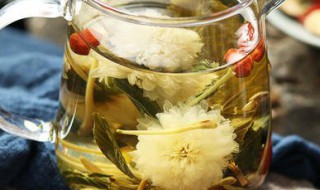 菊花和金银花丁香一起泡水有什么效果 一起泡水对人体的好处盘点