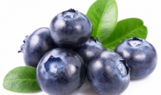 蓝莓有营养价值吗 蓝莓有什么功效和营养价值