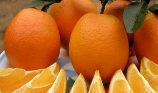 橘子是在哪个季节结果的 橘子是在什么时候结果