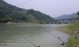 海杆怎样钓浮 海杆怎样钓浮漂