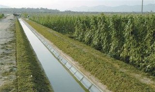 水渠对农业发展的作用 水渠对农业发展的作用和意义