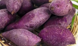 紫薯地瓜有什么功效 紫薯地瓜有什么功效和作用