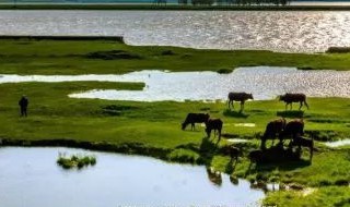 鄱阳湖水位季节变化特点 鄱阳湖水位季节变化特点及原因