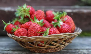 草莓什么季节的食物（草莓什么季节吃?）