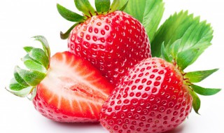 吃草莓的季节是几月份（四川吃草莓的季节是几月份）
