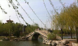 天津河西区有什么好玩的景点 天津市河西区有什么景点