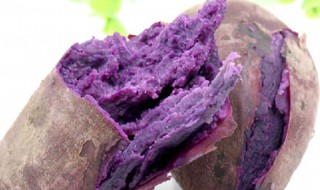 紫薯是什么时候种的 紫薯什么时候开始种植的