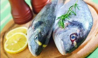 没有冰箱生鱼能放多久 没有冰箱怎么保存生鱼肉