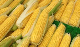 新鲜玉米正常情况下能保存多久 新鲜玉米正常情况下能保存多久呢