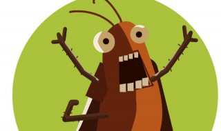 怎么防止蟑螂爬到床上 阴虱虫子图片