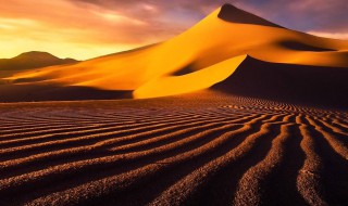 如何在沙漠中辨别方向 如何在沙漠中辨别方向?