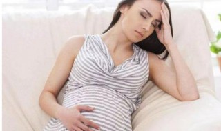 孕妇孕妇头晕犯困怎么回事（孕妇头晕晕的想睡觉）