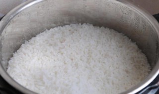 蒸米饭最佳放水量 蒸米饭放水量多少