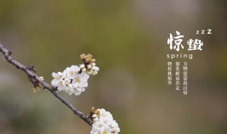 惊蛰节气的特点和风俗是什么 惊蛰节气的特点和风俗是什么意思