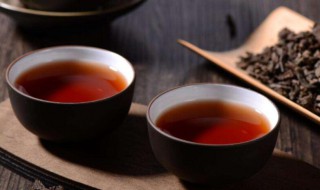 普洱生茶与熟茶饮用方法 普洱生茶和熟茶的饮用方法