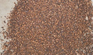 用大豆做底肥的使用方法 用大豆做底肥的使用方法和用量