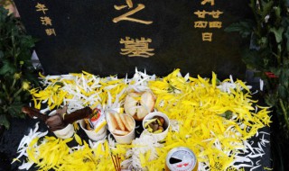 清明节的时候要做哪些事情（清明节要做哪些事情?）