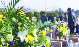 清明节什么时间扫墓好（清明节什么时间扫墓好一点）