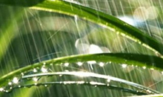 雨水烧开了能喝吗（雨水烧开了能喝吗小孩）