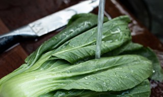 洗菜正确方法（洗菜正确方法视频教程）