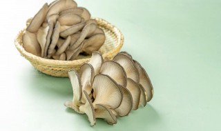 蘑菇的腌制方法教程（蘑菇的腌制方法教程图解）