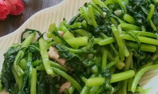 肉末皇帝菜做法步骤（肉末菜品）