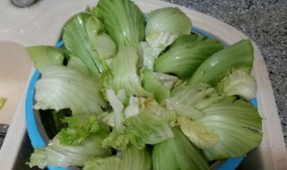 制作青菜泡菜方法 制作青菜泡菜方法视频