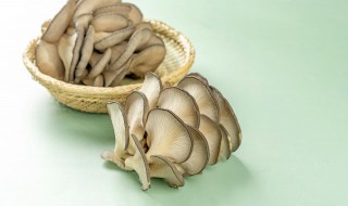 醋渍汁蘑菇怎么做 醋渍汁蘑菇怎么做好吃
