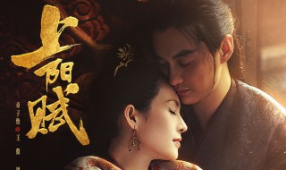 章子怡阿妩是什么电视剧 章子怡阿妩是什么电视剧里的人物