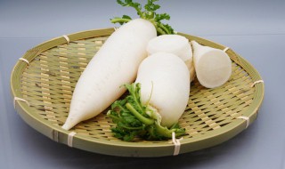 阿胶萝卜禁忌（阿胶忌萝卜吗）