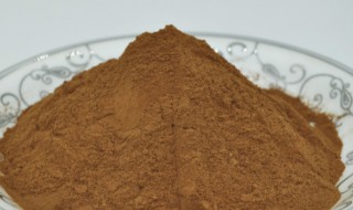 灵芝菌丝粉的功效与作用