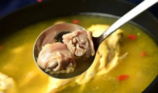 鸡汤功效 红枣煲鸡汤的功效