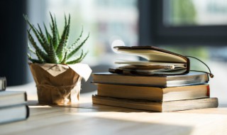 伐树是什么意思（伐树是什么意思解释）