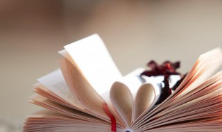 寻主是什么意思（寻事主是什么）