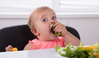 宝宝育儿知识（宝宝育儿知识大全）