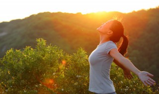 24句乐观心态的短句（有哪些关于乐观心态的短句）