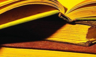 巴不得是什么意思（巴不得是什么意思红楼春趣）