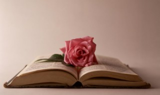 老于世故是什么意思（什么叫老于世故）