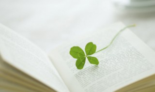 本埠是什么意思 外埠和本埠是什么意思