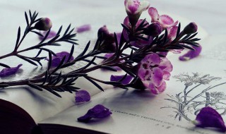 两个字的简约id（两个字的简约游戏名）