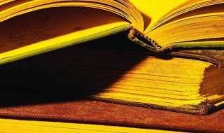 瓣胃是什么意思（瓣胃和皱胃）