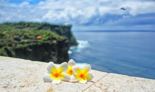 失望的句子短句 失望的古诗词句子