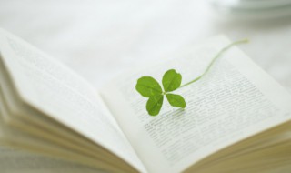 参星是什么意思(参星是什么意思?)