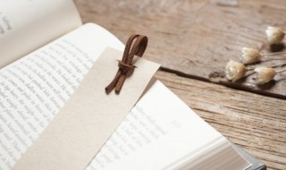 本原是什么意思(本原是什么意思举例)