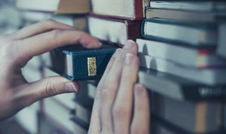 表里是什么意思(不耻下问是什么意思)