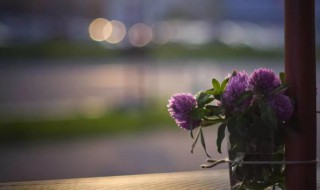 如何放宽心态看淡一切（调整心态的正能量句子）