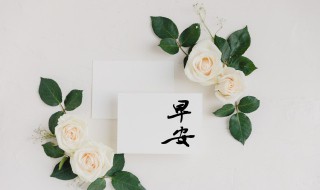 早上暖心的话 给爱人的早安暖心话